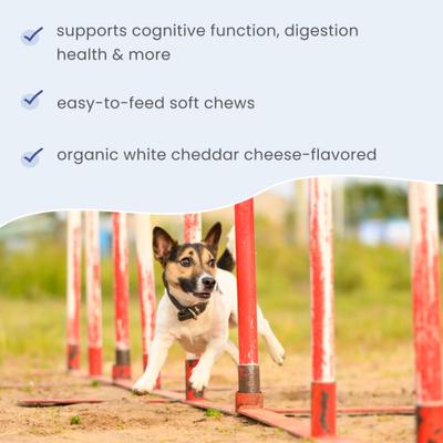 Show full view: Bark and Whiskers Brain Boost Bites Supplement for Dogs & Cats, 6.34-oz bag slide 5 of 7