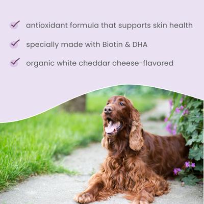 Show full view: Bark and Whiskers Skin Support Cheese Flavored Supplement Bites for Adult Dogs & Cats, 6.34-oz slide 4 of 6