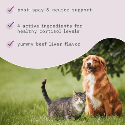 Show full view: Bark and Whiskers Canine Hormone Support Dog Supplement, 3.17-oz jar slide 4 of 7