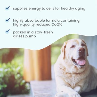 Show full view: Bark and Whiskers Ubiquinol Dog & Cat Supplement, 1.45-fl oz bottle slide 4 of 7