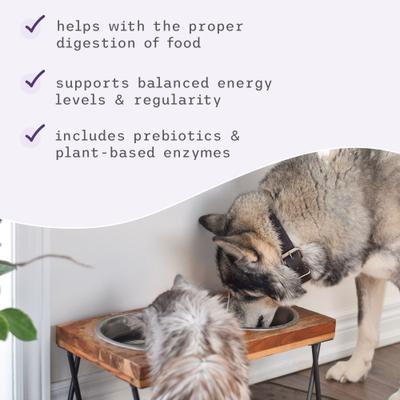 Show full view: Bark and Whiskers Digestive Enzymes Dog & Cat Supplement, 120-g jar slide 5 of 8