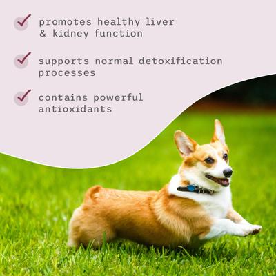 Show full view: Bark and Whiskers Detox Support Dog & Cat Supplement, 1.7-oz jar slide 6 of 9