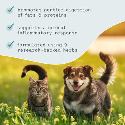 Show full view: Bark and Whiskers GI Support Dog & Cat Supplement, 2.9-oz jar slide 5 of 7