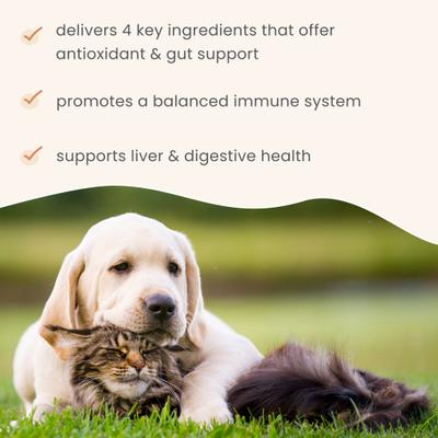 Show full view: Bark and Whiskers Immune Support Dog & Cat Supplement, 3.38-oz jar slide 6 of 9