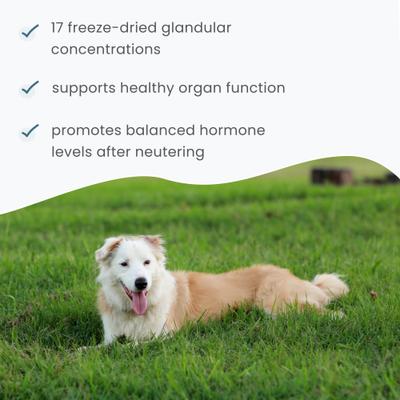 Show full view: Bark and Whiskers Pet Glandular Support Male Dog Supplement slide 5 of 8