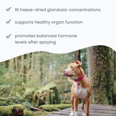 Show full view: Bark and Whiskers Pet Glandular Support Female Dog Supplement, 4.0-oz jar slide 5 of 8