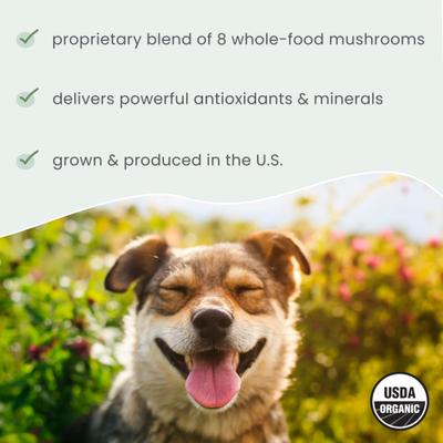 Show full view: Bark and Whiskers Fermented Mushroom Blend Dog & Cat Supplement, 2.1-oz jar slide 6 of 9