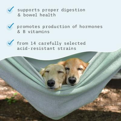 Show full view: Bark and Whiskers Complete Probiotics Dog & Cat Supplement, 3.17-oz jar slide 7 of 8