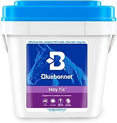 Bluebonnet Feeds Transform DSI Digestive Catalyst Pellets Horse Supplement, 12.5-lb tub