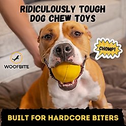 WoofBite Ultra-Tough Ball Dog Chew Toy slide 2 of 9