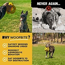 WoofBite Ultra-Tough XL Giant Ring Ball Dog Chew Toy slide 2 of 9