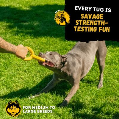 Show full view: WoofBite Ultra-Tough Tug Rings Dog Chew Toy slide 9 of 12