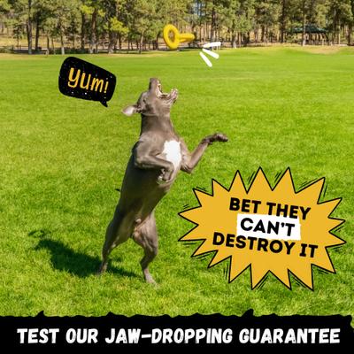 Show full view: WoofBite Ultra-Tough Tug Rings Dog Chew Toy slide 7 of 12