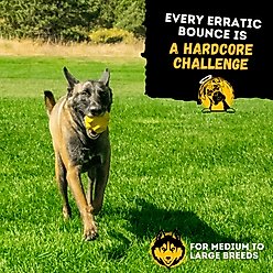 WoofBite Ultra-Tough Jumping Jack Dog Chew Toy slide 2 of 9