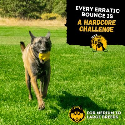 Show full view: WoofBite Ultra-Tough Jumping Jack Dog Chew Toy slide 9 of 11