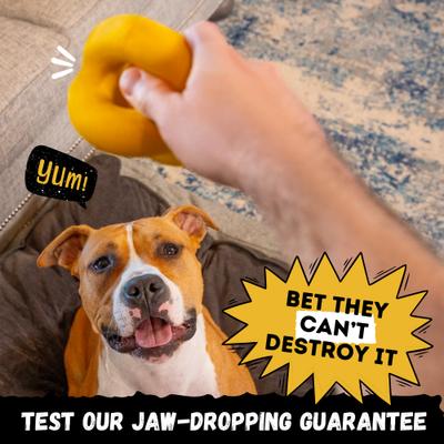 Show full view: WoofBite Ultra-Tough Ring Ball Dog Chew Toy slide 6 of 11