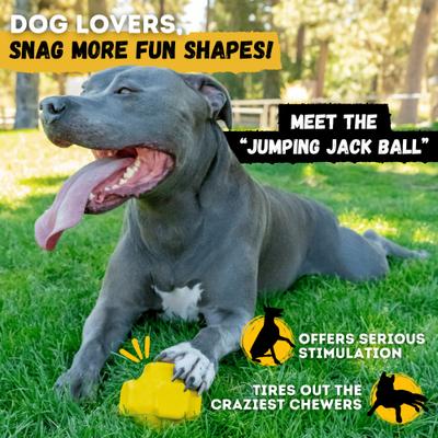 Show full view: WoofBite Ultra-Tough XL Giant Ring Ball Dog Chew Toy slide 9 of 11