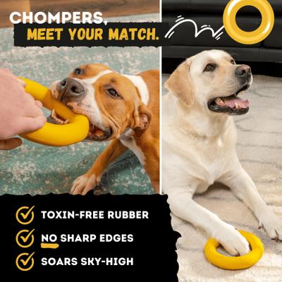 Show full view: WoofBite Ultra-Tough Ring Dog Chew Toy slide 5 of 11