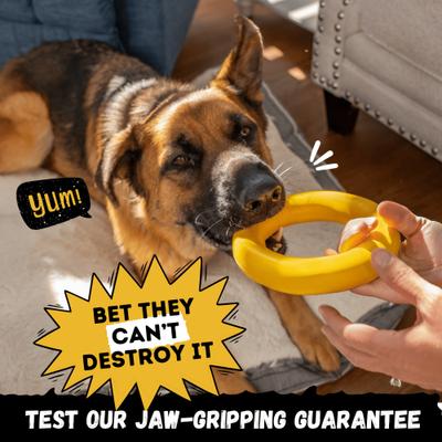 Show full view: WoofBite Ultra-Tough Ring Dog Chew Toy slide 6 of 11