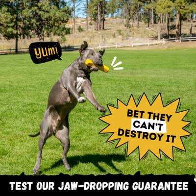 Show full view: WoofBite Ultra-Tough Stick Dog Chew Toy slide 6 of 11