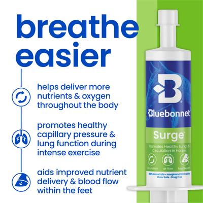 Show full view: Bluebonnet Feeds Surge Paste Horse Food, 100-ml tube slide 3 of 4