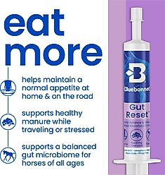 Bluebonnet Feeds Gut Reset Paste Syringe Digestive Horse Supplement, 20 count slide 2 of 4