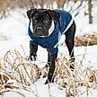 Show in main carousel: GF Pet Trekking Dog Sweater, Blue, XXXX-Large slide 4 of 7