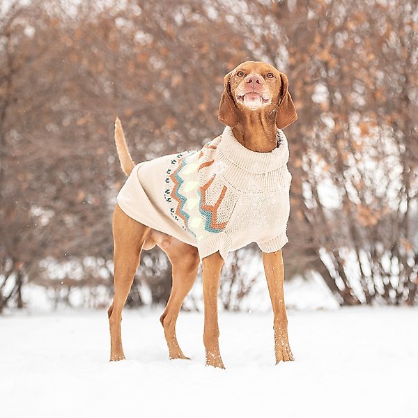 Show full view: GF Pet Heritage Dog Sweater, Sand, Small slide 5 of 8