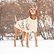 Show in main carousel: GF Pet Heritage Dog Sweater, Sand, Small slide 5 of 8