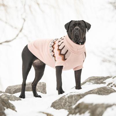 GF Pet Heritage Dog Sweater