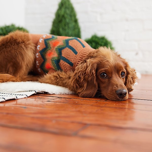 Show full view: GF Pet Heritage Dog Sweater, Hazel, XXX-Large slide 4 of 8