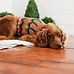 Show in main carousel: GF Pet Heritage Dog Sweater, Hazel, XXX-Large slide 4 of 8