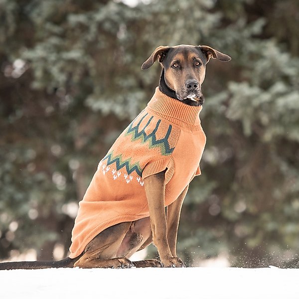 Show full view: GF Pet Heritage Dog Sweater, Hazel, XXX-Large slide 5 of 8