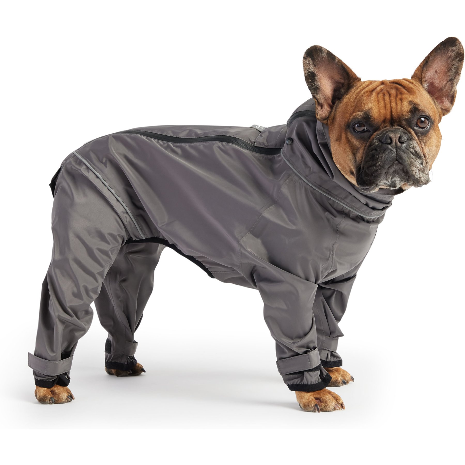 GF Pet Dog Splash Suit, Medium