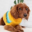 Show in main carousel: GF Pet Alpine Dog Sweater, XX-Small slide 4 of 7