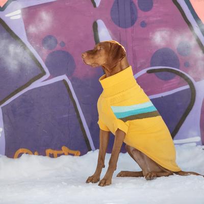 Show full view: GF Pet Alpine Dog Sweater, X-Small slide 6 of 8
