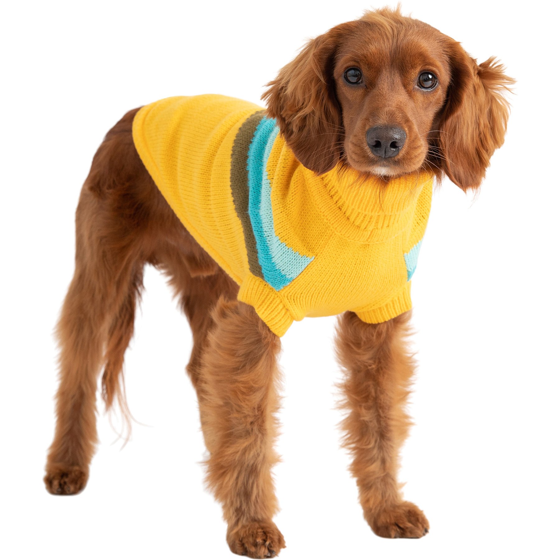 GF Pet Alpine Dog Sweater, XXX-Small