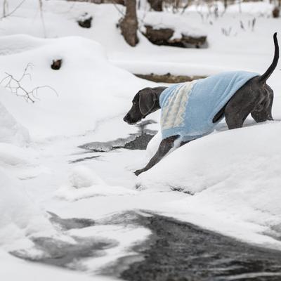 Show full view: GF Pet Fuzzy Dog Sweater, Light Blue, XX-Large slide 6 of 10