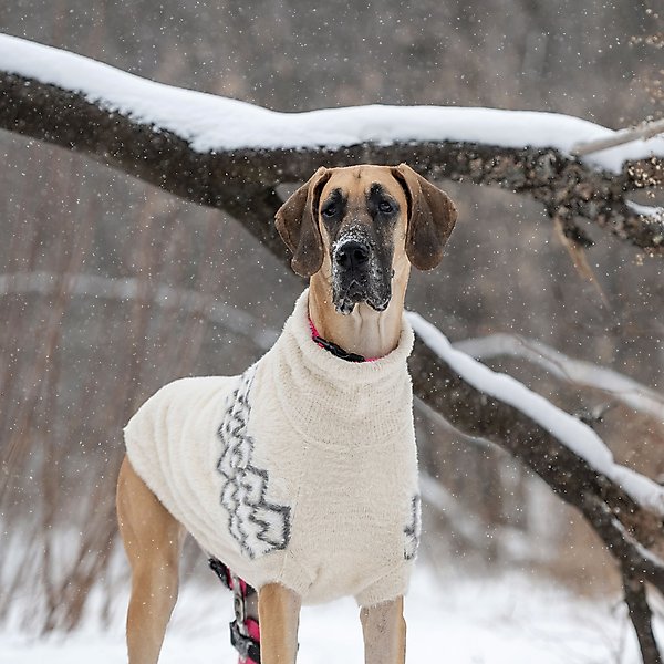 Show full view: GF Pet Fuzzy Dog Sweater, Sand, Medium slide 7 of 11