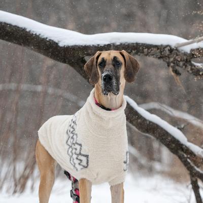 Show full view: GF Pet Fuzzy Dog Sweater, Sand, XX-Small slide 7 of 11