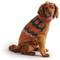 Show in main carousel: GF Pet Heritage Dog Sweater, Hazel, X-Small slide 1 of 8