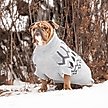 Show in main carousel: GF Pet Heritage Dog Sweater, Grey Mix, X-Large slide 5 of 8