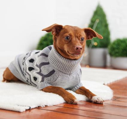 Show full view: GF Pet Heritage Dog Sweater, Grey Mix, X-Small slide 5 of 9