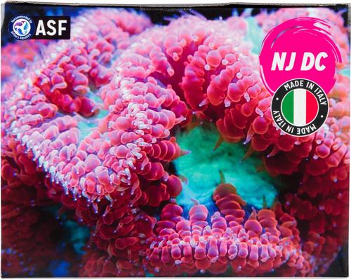 Show full view: ASF NewJet DC Aquarium Pump, 1200-gph slide 7 of 8