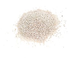 ASF Paleosand Fine Aquarium Sand, 11-lb bag slide 2 of 2