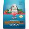 Show in main carousel: Kaytee Forti-Diet Pro Health Adult Rabbit Food, 5-lb bag slide 1 of 11
