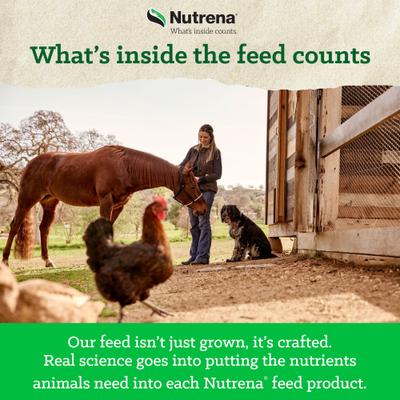 Show full view: Nutrena Nature Smart Organic Layer Feed 16% Protein Crumble Chicken Feed, 35-lb bag slide 4 of 8