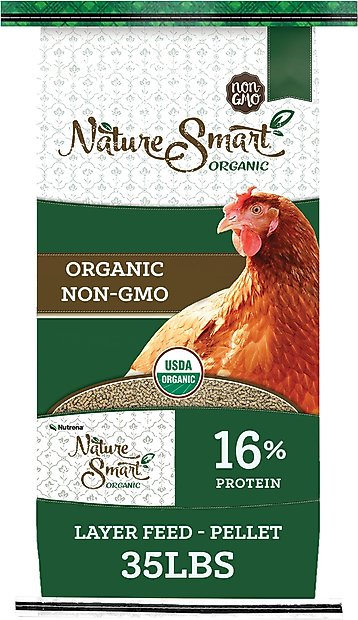 Organic Chick Food photo