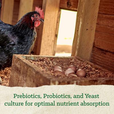 Show full view: Nutrena Nature Smart Organic Layer Feed Layer 16% Protein Pellet Chicken Feed, 35-lb bag slide 2 of 8