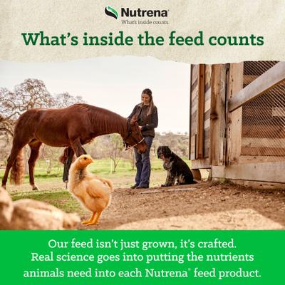 Show full view: Nutrena Nature Smart Organic Chick Starter Grower 20% Protein Crumble Chicken Feed, 35-lb bag slide 4 of 8